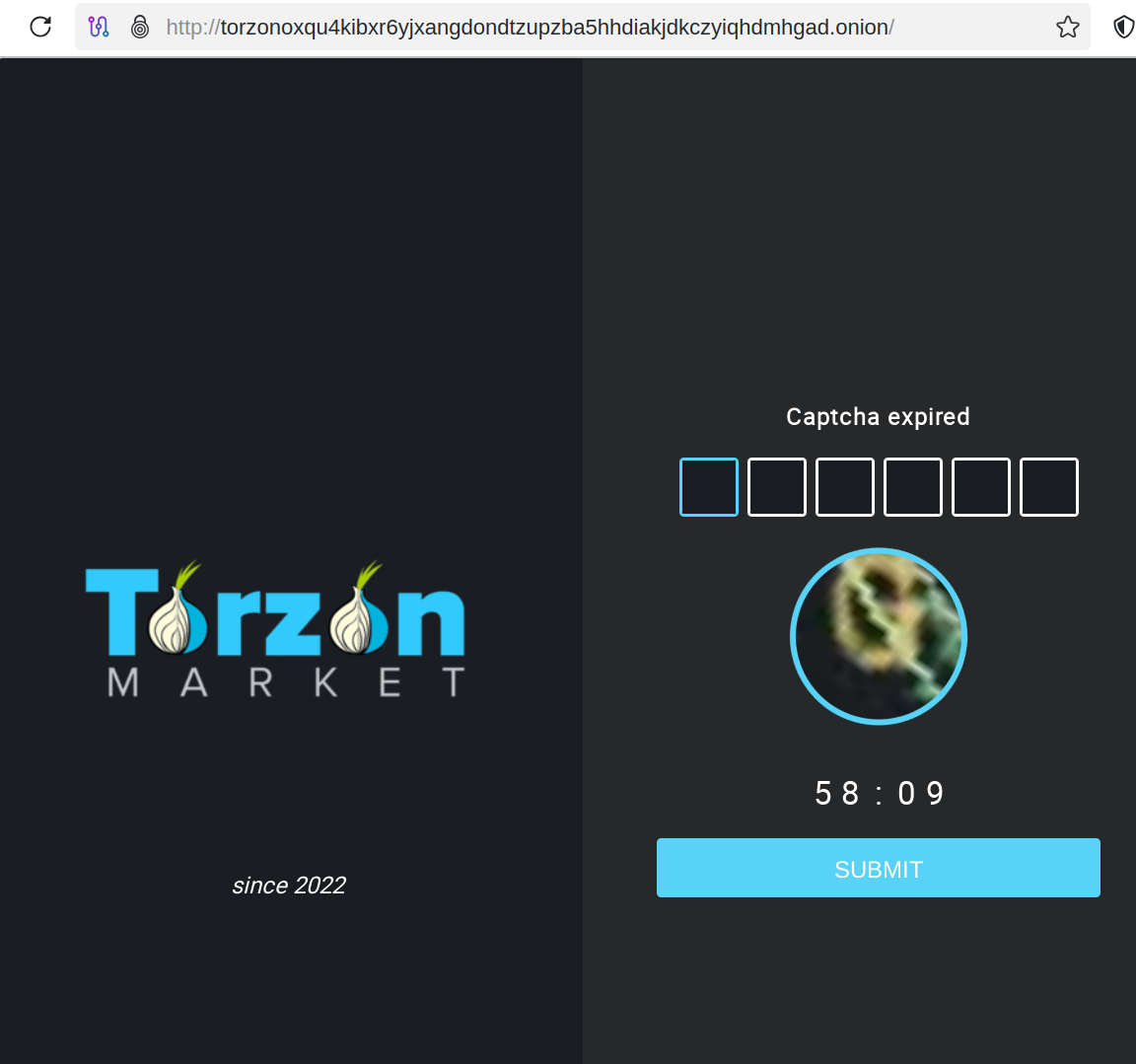 TorZon Market captcha verification showing active market session